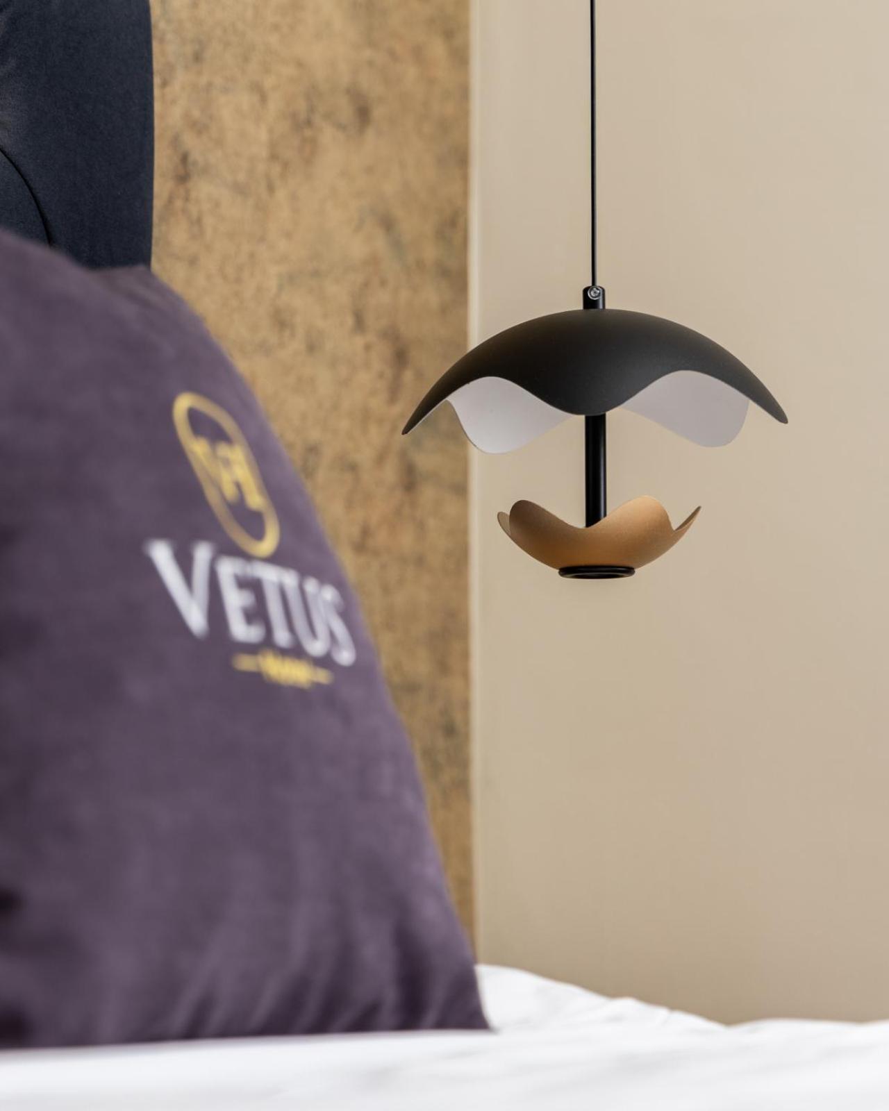 Vetus Hotel 普里什蒂纳 外观 照片